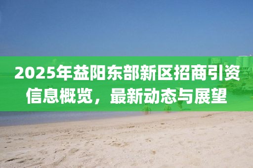 2025年益阳东部新区招商引资信息概览，最新动态与展望