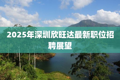 2025年深圳欣旺达最新职位招聘展望