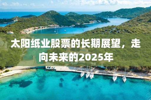 太阳纸业股票的长期展望，走向未来的2025年