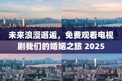 未来浪漫邂逅，免费观看电视剧我们的婚姻之旅 2025