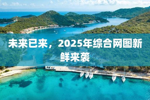 未来已来，2025年综合网图新鲜来袭