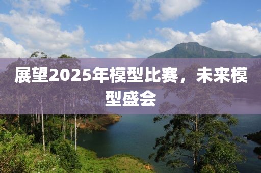 展望2025年模型比赛，未来模型盛会