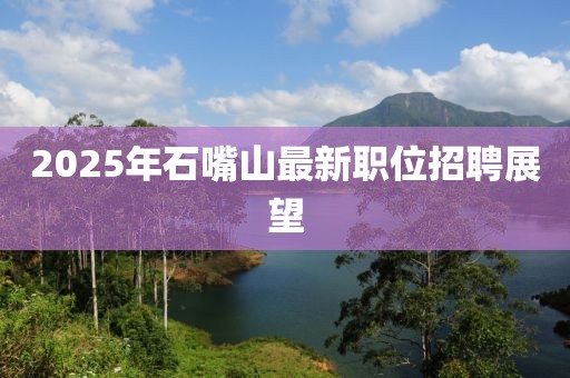 2025年石嘴山最新职位招聘展望