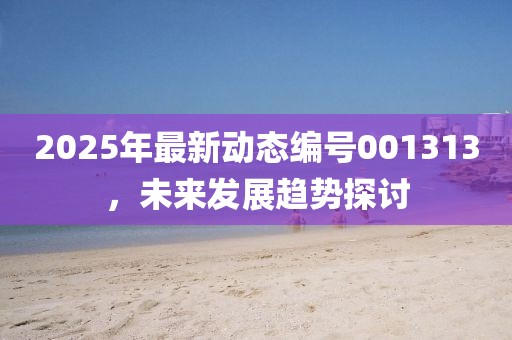 2025年最新动态编号001313，未来发展趋势探讨