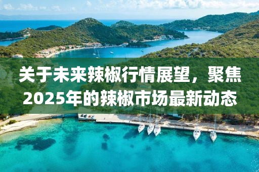关于未来辣椒行情展望，聚焦2025年的辣椒市场最新动态