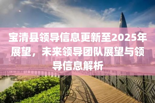 宝清县领导信息更新至2025年展望，未来领导团队展望与领导信息解析