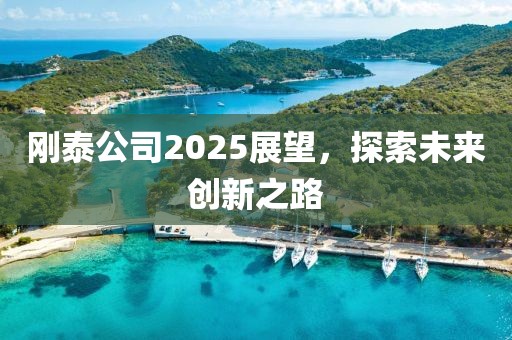 刚泰公司2025展望，探索未来创新之路