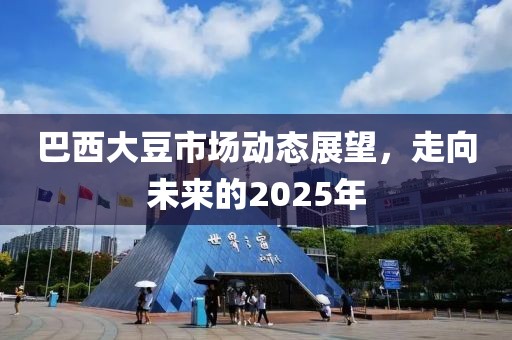 巴西大豆市场动态展望，走向未来的2025年