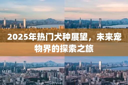2025年热门犬种展望，未来宠物界的探索之旅