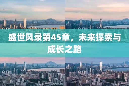 盛世风录第45章，未来探索与成长之路
