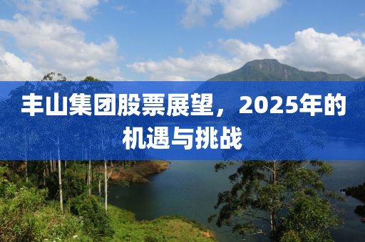 丰山集团股票展望，2025年的机遇与挑战