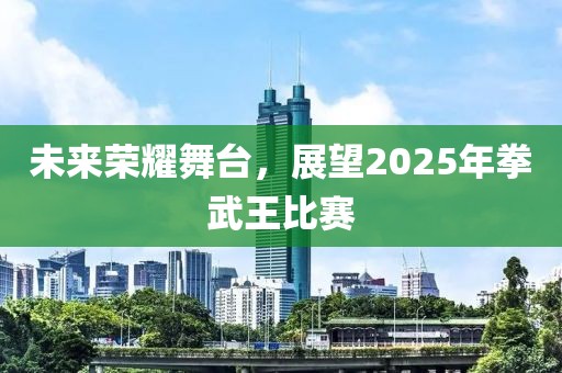 未来荣耀舞台，展望2025年拳武王比赛