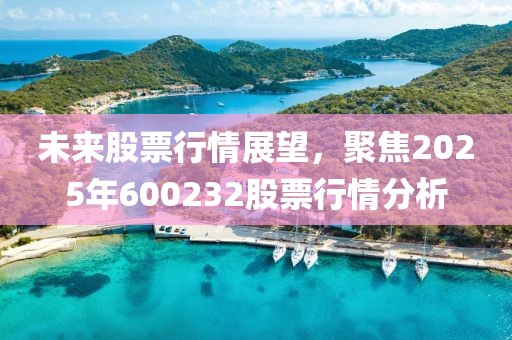 未来股票行情展望，聚焦2025年600232股票行情分析
