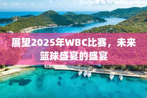 展望2025年WBC比赛，未来篮球盛宴的盛宴