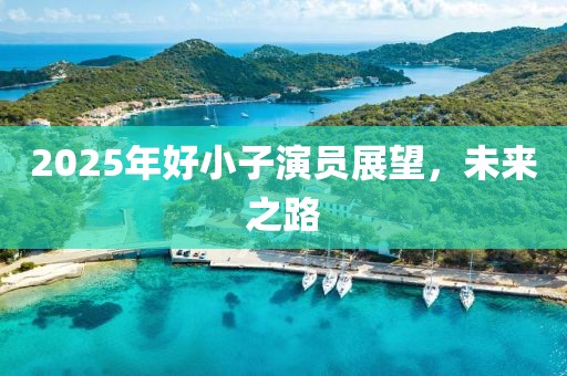 2025年好小子演员展望，未来之路