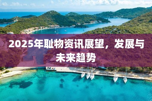 2025年耻物资讯展望，发展与未来趋势