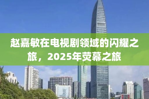 赵嘉敏在电视剧领域的闪耀之旅，2025年荧幕之旅