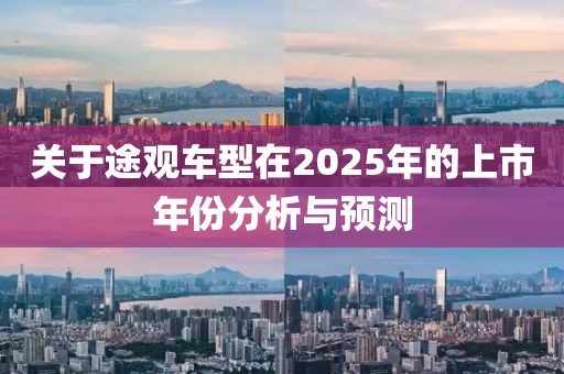 关于途观车型在2025年的上市年份分析与预测