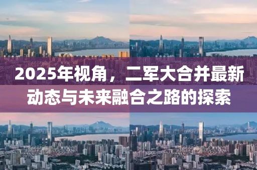 2025年视角，二军大合并最新动态与未来融合之路的探索