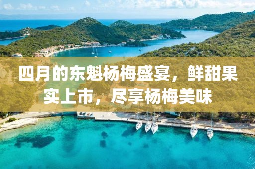四月的东魁杨梅盛宴，鲜甜果实上市，尽享杨梅美味