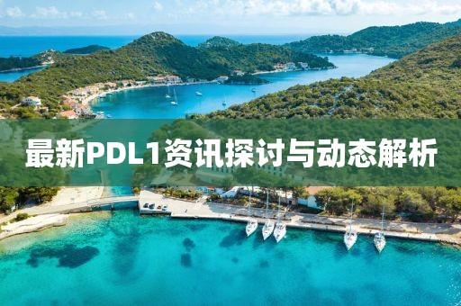 最新PDL1资讯探讨与动态解析