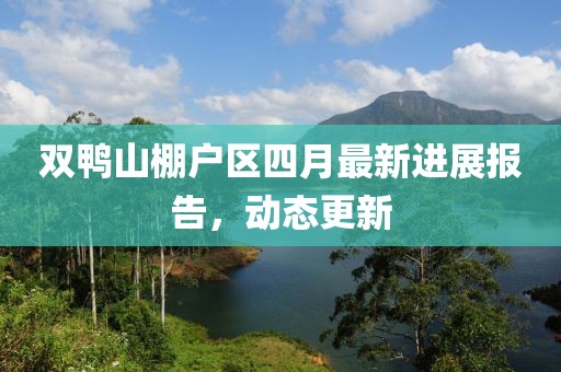 双鸭山棚户区四月最新进展报告，动态更新