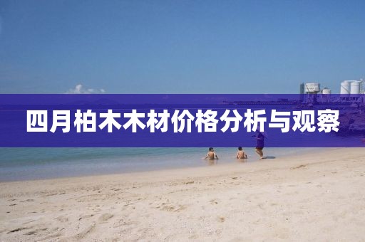 四月柏木木材价格分析与观察