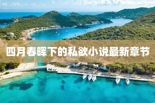 四月春晖下的私欲小说最新章节