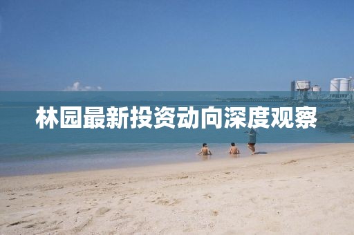 林园最新投资动向深度观察