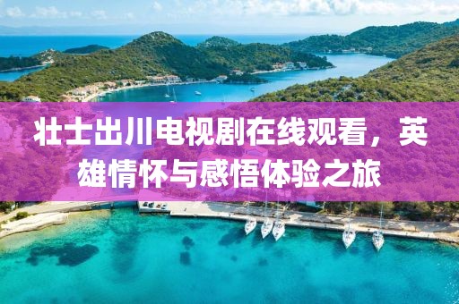 壮士出川电视剧在线观看，英雄情怀与感悟体验之旅
