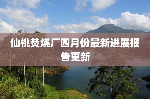 仙桃焚烧厂四月份最新进展报告更新