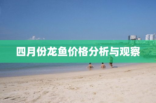 四月份龙鱼价格分析与观察
