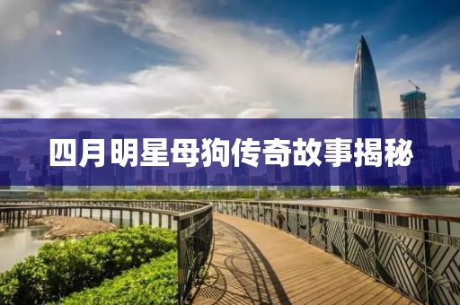 四月明星母狗传奇故事揭秘