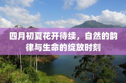 杞文茵