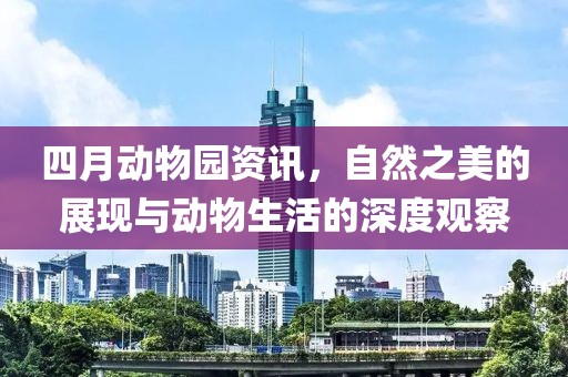 四月动物园资讯，自然之美的展现与动物生活的深度观察