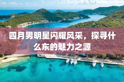 四月男明星闪耀风采，探寻什么东的魅力之源