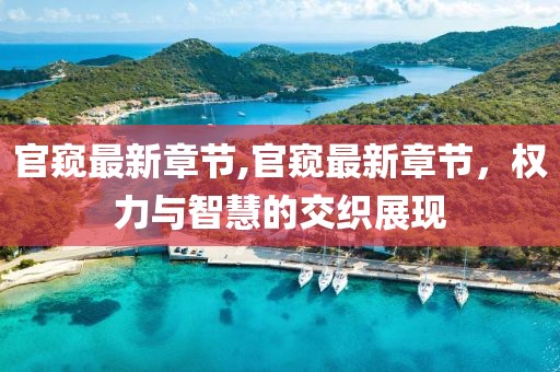 官窥最新章节,官窥最新章节，权力与智慧的交织展现
