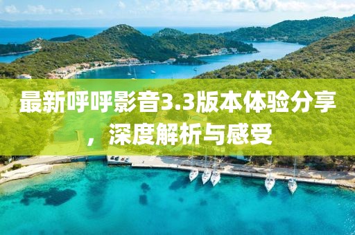最新呼呼影音3.3版本体验分享，深度解析与感受
