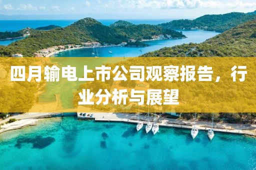 四月输电上市公司观察报告，行业分析与展望