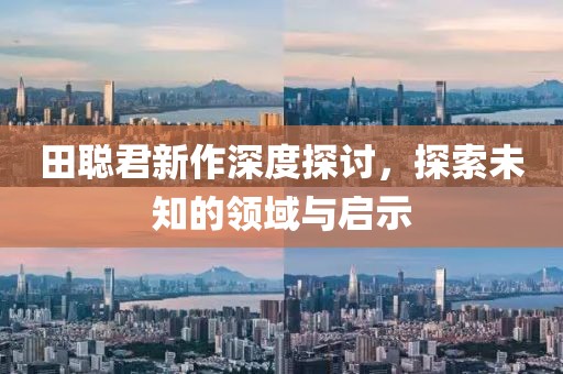 田聪君新作深度探讨，探索未知的领域与启示