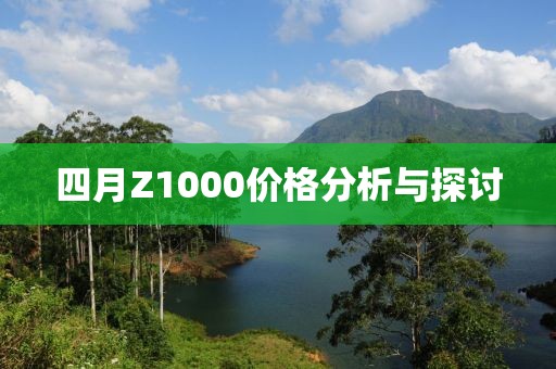 四月Z1000价格分析与探讨