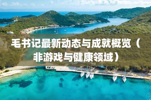 毛书记最新动态与成就概览（非游戏与健康领域）