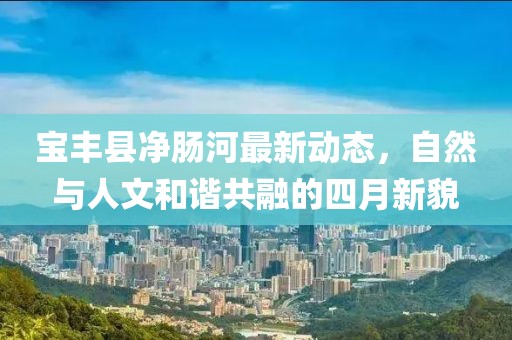 时亦竹