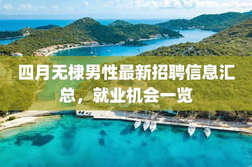念鸿运