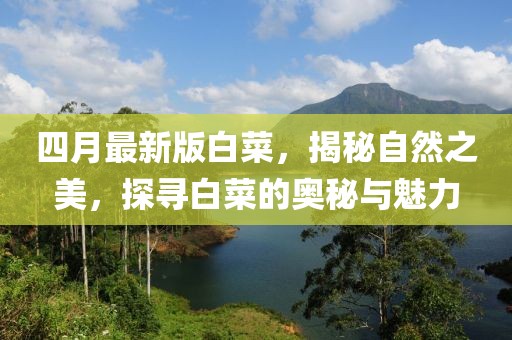 四月最新版白菜，揭秘自然之美，探寻白菜的奥秘与魅力