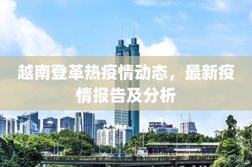 越南登革热疫情动态，最新疫情报告及分析