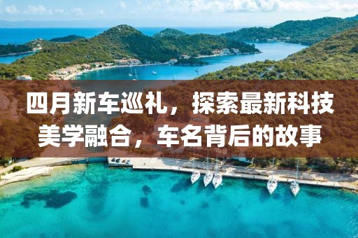 2025年4月20日 第6页
