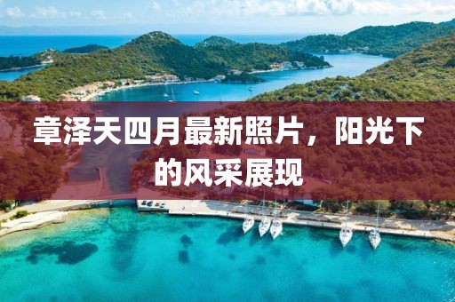 章泽天四月最新照片，阳光下的风采展现