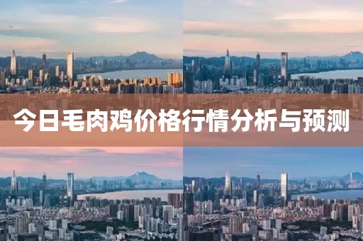 素驰丽