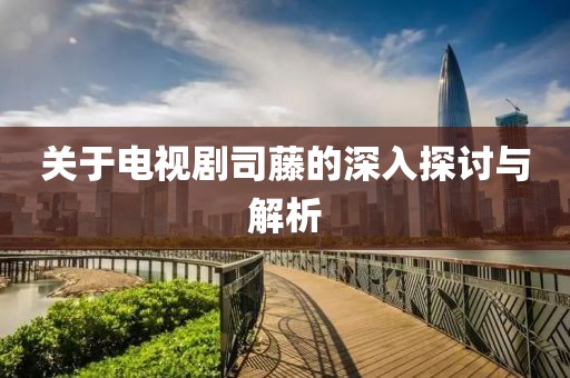 关于电视剧司藤的深入探讨与解析